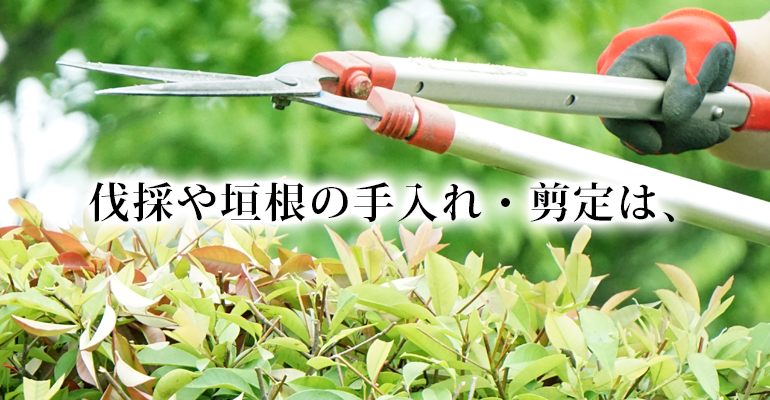 伐採や垣根の手入れ・剪定は、