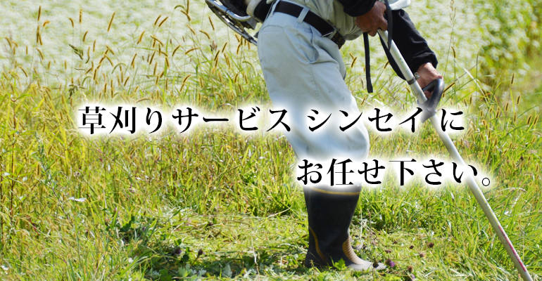 草刈りサービスシンセイにお任せ下さい。