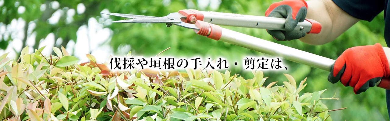 伐採や垣根の手入れ・剪定は、