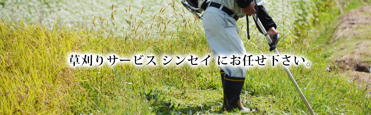 草刈りサービスシンセイにお任せ下さい。