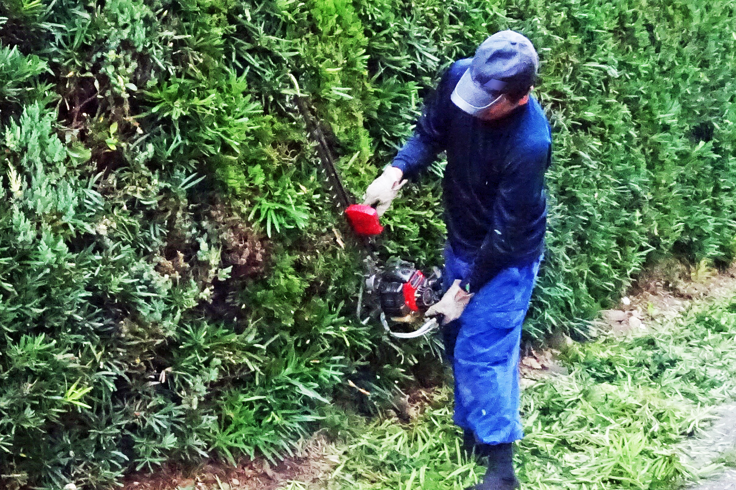 草刈りのプロにお任せください！