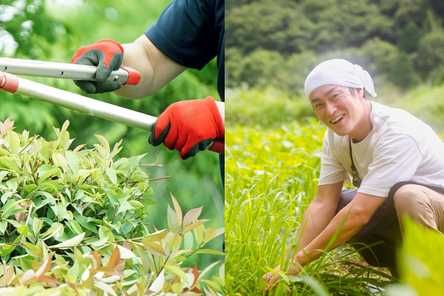 どうぞお気軽にご相談ください。